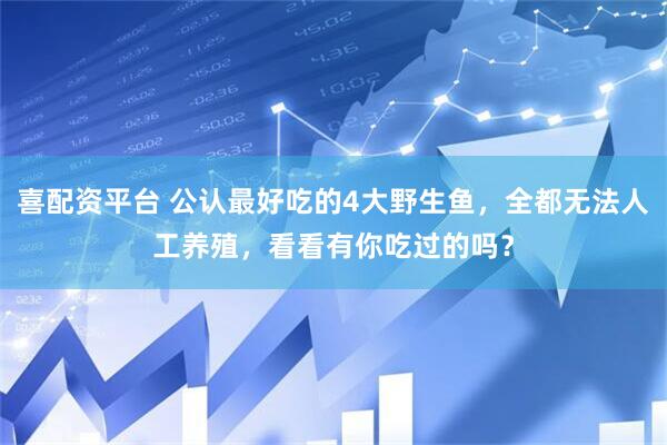 喜配资平台 公认最好吃的4大野生鱼，全都无法人工养殖，看看有你吃过的吗？
