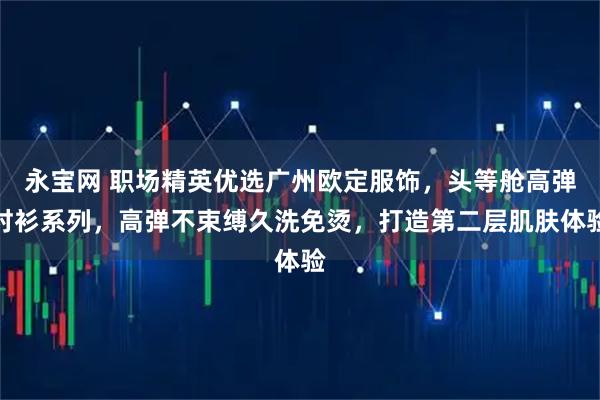 永宝网 职场精英优选广州欧定服饰，头等舱高弹衬衫系列，高弹不束缚久洗免烫，打造第二层肌肤体验